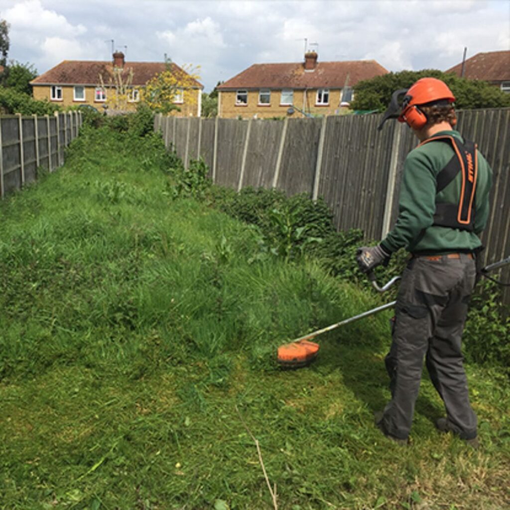 garden care services 15