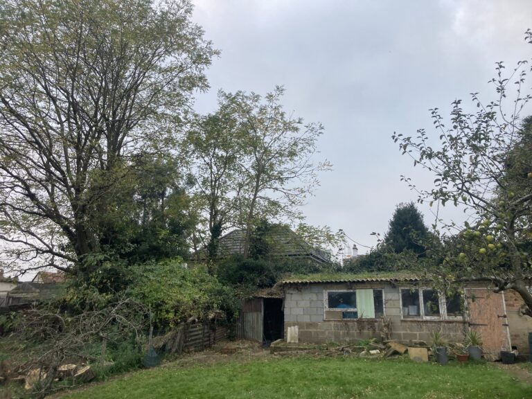 tree surgeon 8