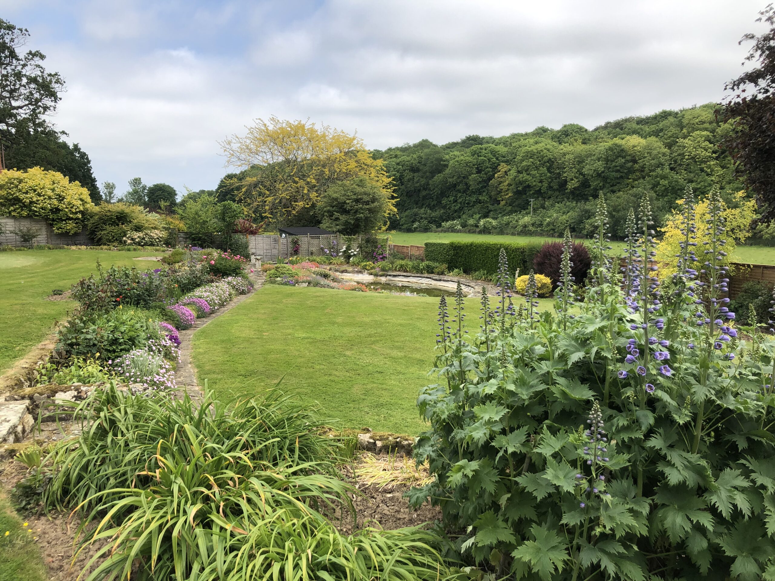 Lawn Care Services