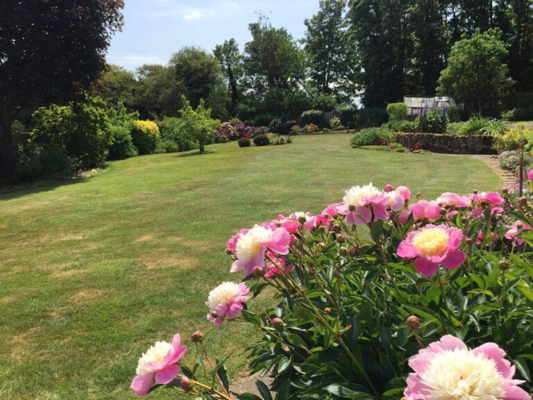 Professional Garden Maintenance