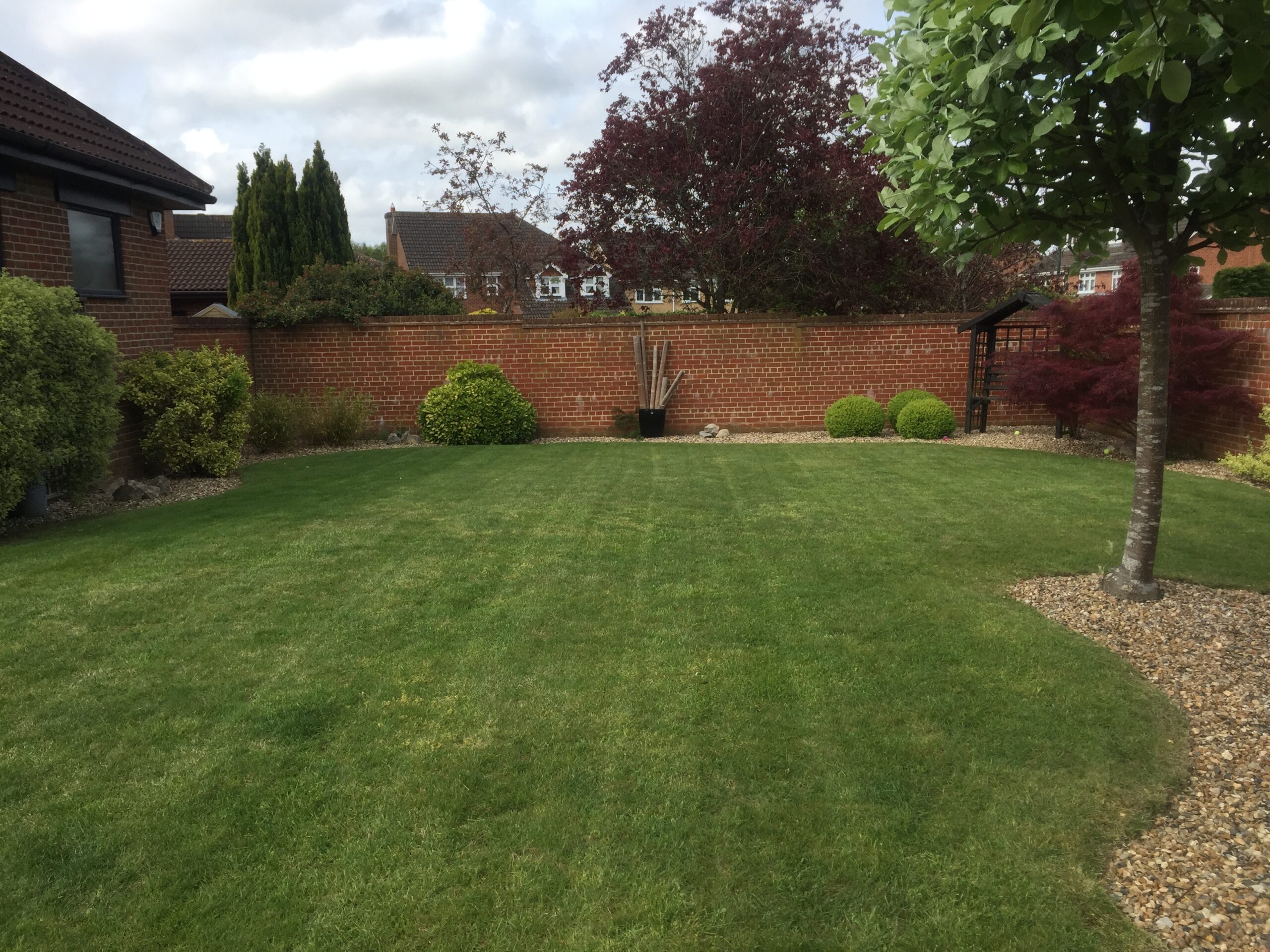 Professional Lawn Care