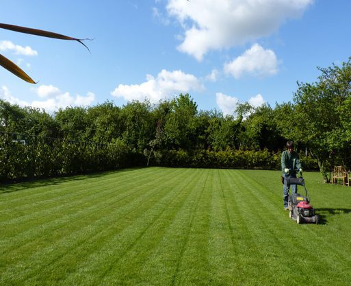 Professional gardeners maintaining a garden in Sittingbourne and Medway