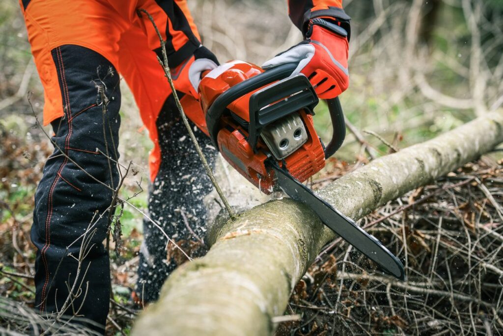 emergency tree work