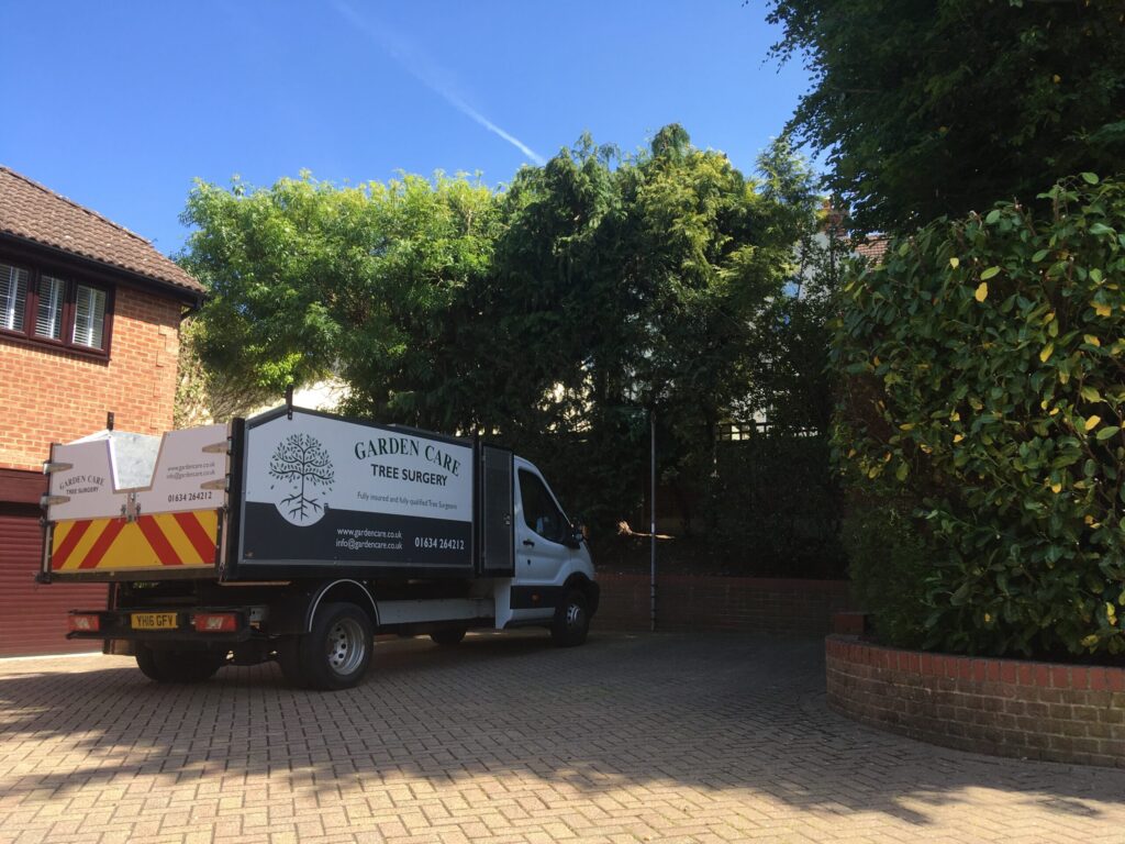 tree surgery rochester