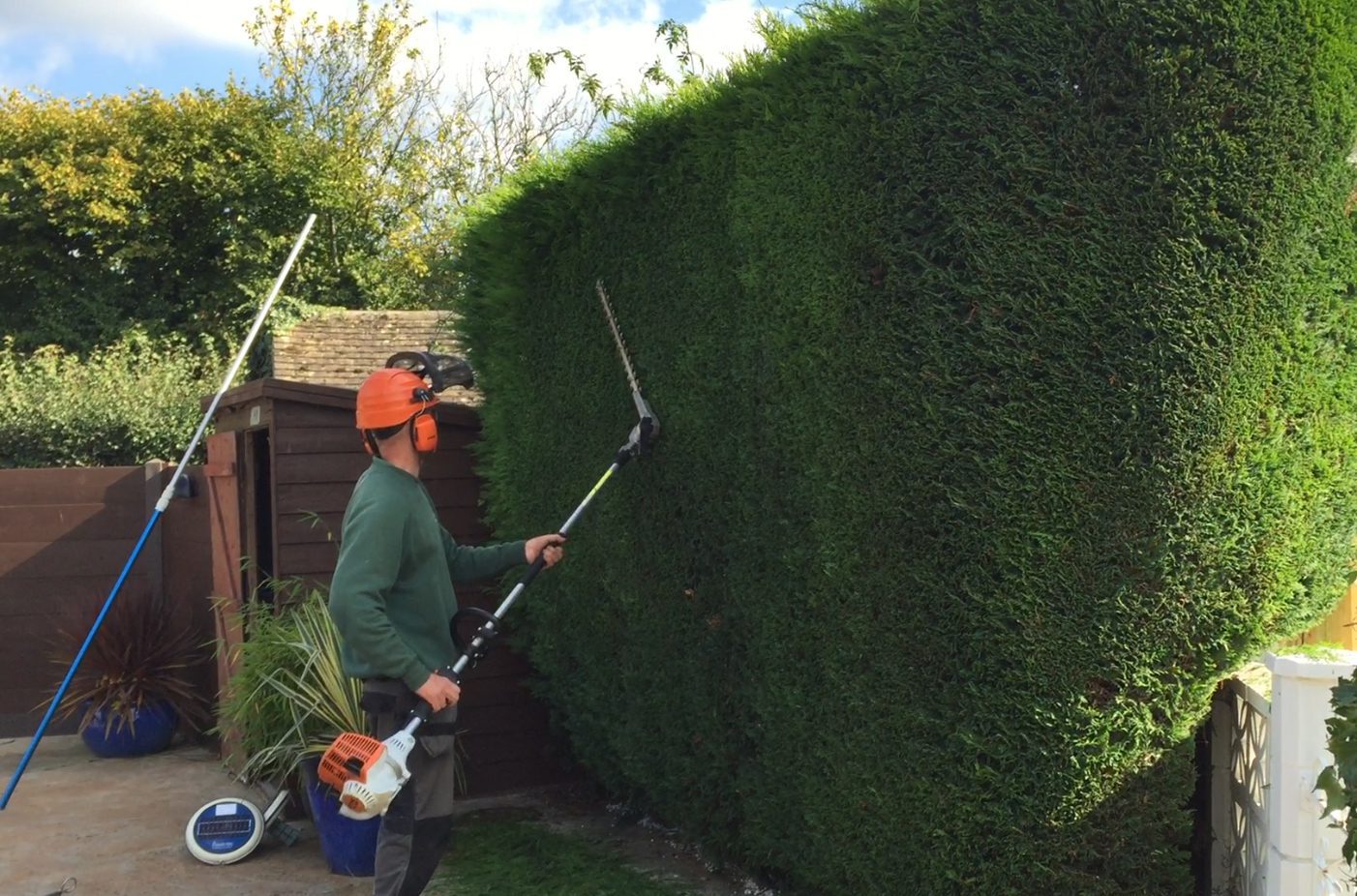 hedge strimming